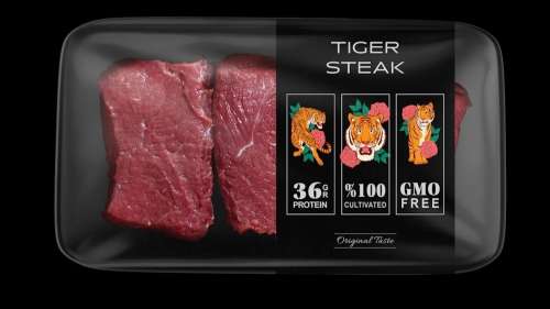Une start-up s’apprête à vendre aux restaurants de la viande de tigre cultivée en laboratoire