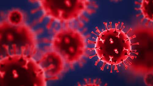 Le Covid-19 peut faire « exploser » les cellules infectées, selon une étude