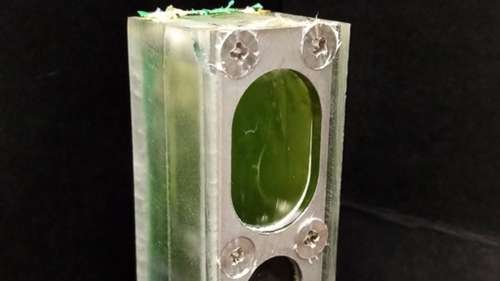 Ce générateur à base d’algues a alimenté un petit ordinateur pendant 6 mois