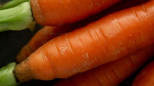 Le saviez-vous ? Une femme a retrouvé sa bague de fiançailles perdue depuis 16 ans sur une carotte