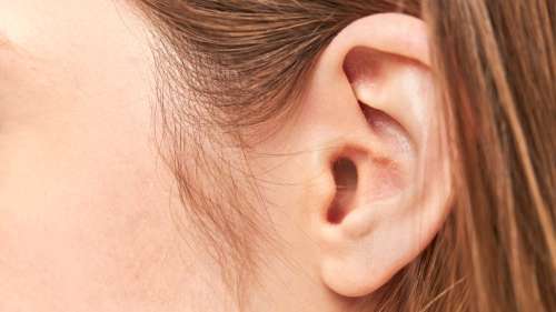 Une femme reçoit la première greffe d’oreille imprimée en 3D à partir de ses propres cellules