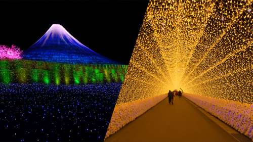 Admirez les illuminations féeriques de ce parc floral au Japon