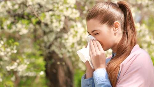 Pourquoi les allergies au pollen sont-elles si fréquentes ?