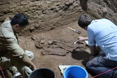 Découverte de la plus ancienne preuve d’amputation connue, remontant à 31 000 ans