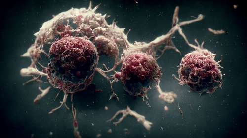 Cancer : un virus génétiquement modifié pour le combattre se révèle redoutable