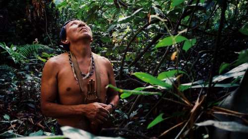Le dernier membre d’une tribu amazonienne est décédé seul