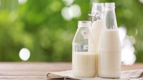 Qu’est-ce que l’intolérance au lactose ?