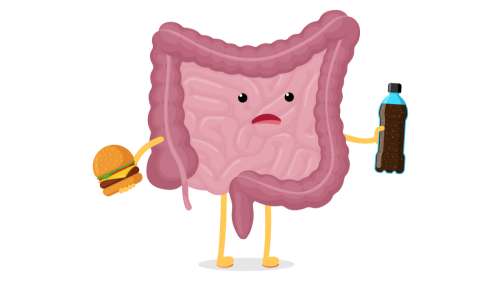 Voici comment le sucre perturbe les bactéries intestinales et entraîne l’obésité