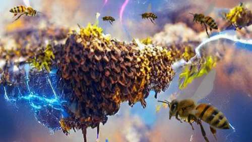Les grands essaims d’insectes peuvent générer autant d’électricité statique qu’un nuage d’orage
