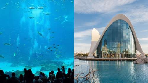 10 des plus merveilleux aquariums du monde