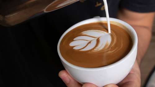 Le café peut-il vraiment stimuler le cerveau ?