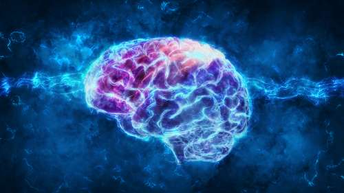La mort cérébrale est-elle réversible ?