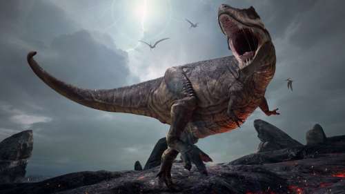 Le T. rex était 70 % plus massif que ce que les fossiles suggèrent, selon une nouvelle étude