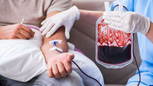 Des scientifiques réalisent les premières transfusions de sang cultivé en laboratoire