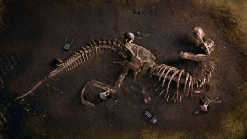 Peut-on vraiment extraire de l’ADN des fossiles de dinosaures ?