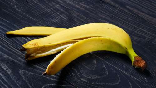 Ne jetez plus vos peaux de banane, mangez-les
