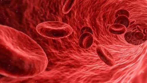 Quel est le groupe sanguin le plus courant ?