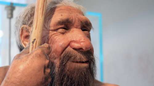 Les Néandertaliens étaient intelligents, sophistiqués, créatifs et incompris