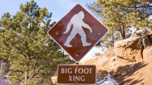 La légende du Bigfoot a une explication logique
