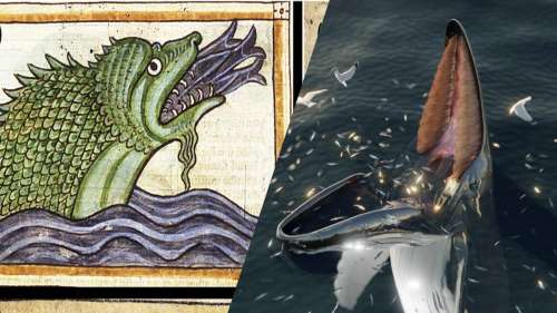 Ce terrifiant monstre marin décrit dans d’anciens manuscrits était en réalité une baleine