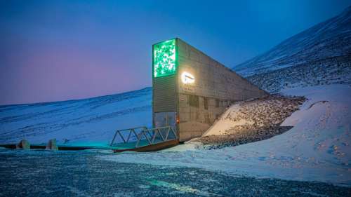 Vous pouvez visiter virtuellement la réserve mondiale de semences du Svalbard