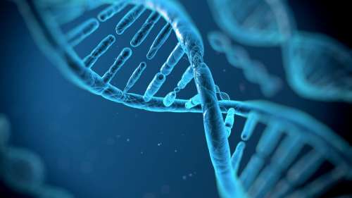 Une nouvelle étude permet de diagnostiquer 60 nouvelles maladies génétiques