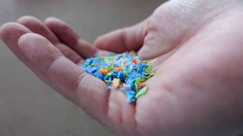 Des scientifiques ont créé un nouveau plastique sans utiliser de pétrole brut
