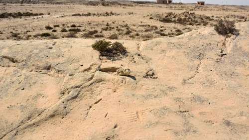 Al Jassasiya, le site d’énigmatiques gravures rupestres du désert du Qatar