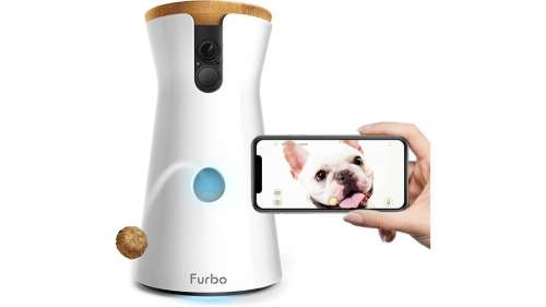 Avec cette caméra intelligente, surveillez votre chien et donnez-lui des friandises à distance