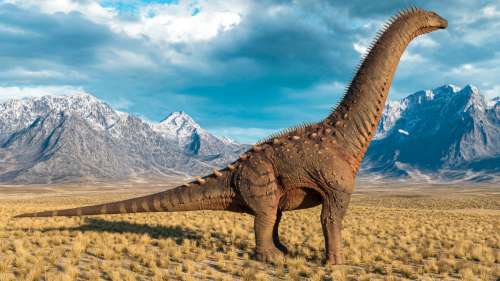 Découverte d’une nouvelle espèce de dinosaure gigantesque en Argentine