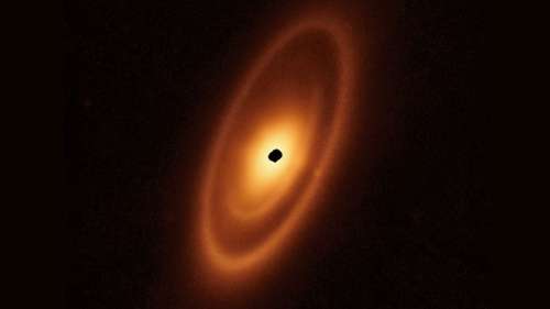 James-Webb découvre une énorme ceinture d’astéroïdes autour d’une étoile proche
