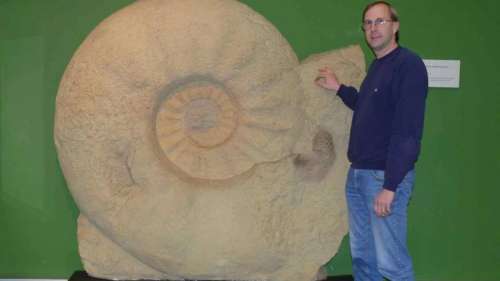 Le saviez-vous ? Le plus grand fossile d’ammonite jamais trouvé mesure plus de 1,8 mètre