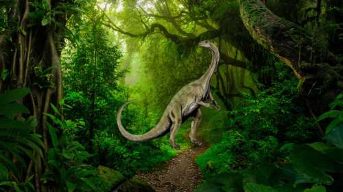 Un fossile sud-africain de dinosaure révèle le plus petit dinosaure à long cou du Jurassique