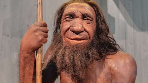 Une récente étude nous éclaire sur le langage des Néandertaliens