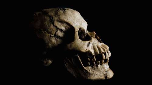 Découverte d’une mâchoire humaine vieille de 300 000 ans aux caractéristiques très inhabituelles