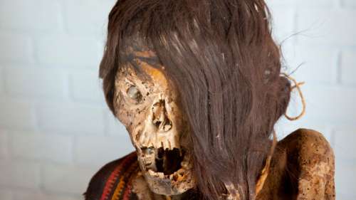 Des archéologues pensent avoir identifié la cause de la mort de cette célèbre momie