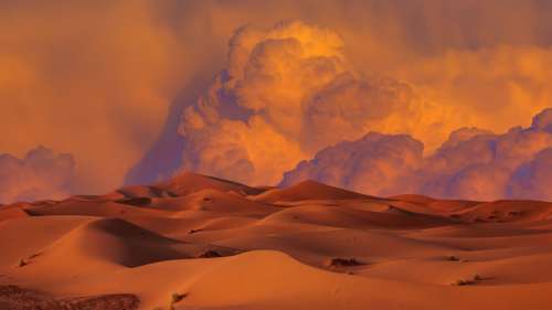 Quels secrets renferme le désert du Sahara ?