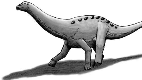Un titanosaure nommé d’après un dieu égyptien comble un vide dans l’histoire des dinosaures