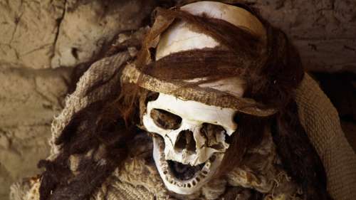 73 momies de l’Empire huari, dont certaines avec de « fausses têtes », découvertes au Pérou
