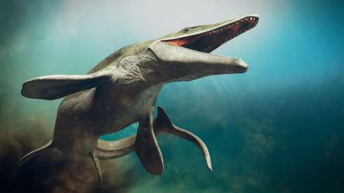 Un nouveau monstre marin du Crétacé nommé d’après un serpent de la mythologie nordique
