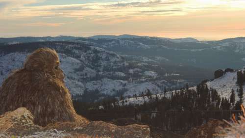 Un couple est persuadé d’avoir filmé Bigfoot dans les montagnes du Colorado