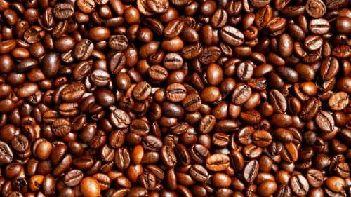 Le café décaféiné est-il vraiment sans caféine ?