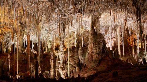 Des archéologues découvrent une « capsule temporelle » préhistorique dans une grotte espagnole