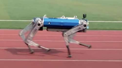 Un robot-chien établit un record du monde en parcourant 100 mètres en seulement 20 secondes