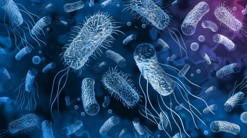 Cette nouvelle approche implacable promet d’éradiquer les superbactéries les plus résistantes