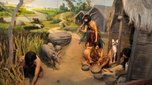 Les premiers agriculteurs du Néolithique auraient massacré les chasseurs-cueilleurs en Scandinavie
