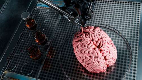 Des tissus cérébraux humains fonctionnels imprimés en 3D pour la première fois