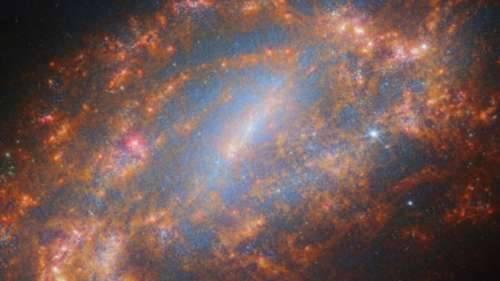 James-Webb capture une nouvelle image époustouflante de la galaxie NGC 1559