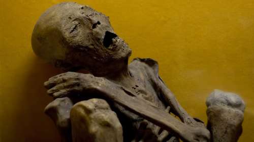 L’analyse de momies révèle les plaies de l’Égypte ancienne