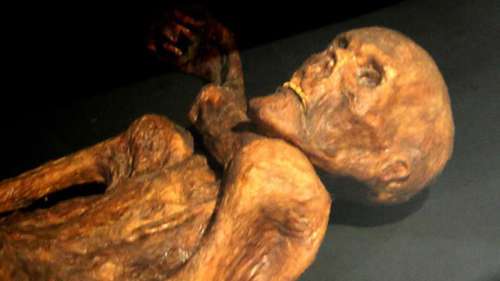 Les secrets des tatouages d’Ötzi, l’homme des glaces, enfin percés